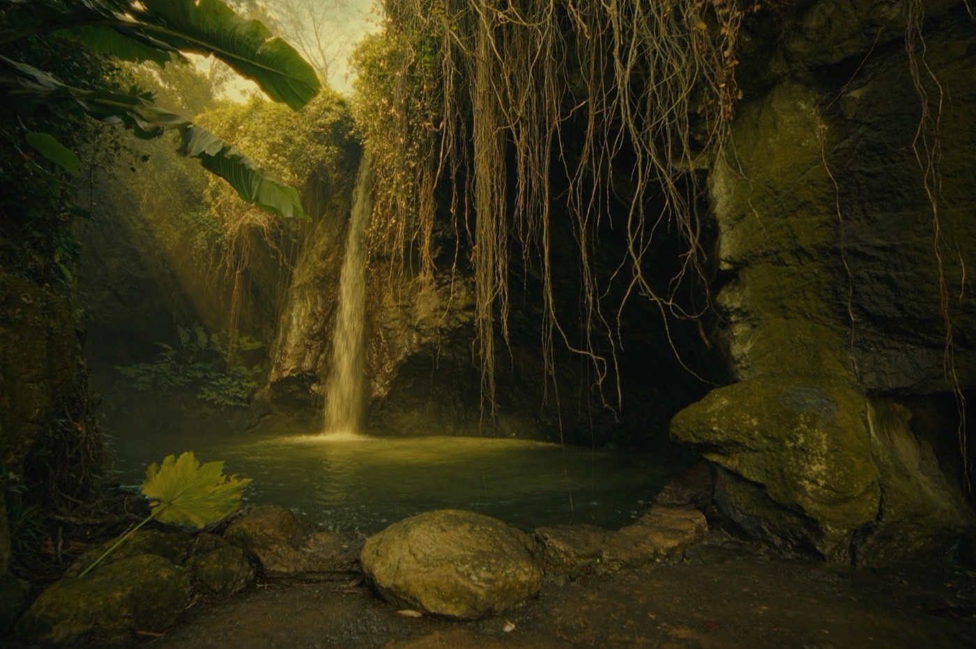 Hidden jungle waterfall and pool